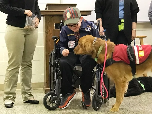 service dog training programs Sacramento CA