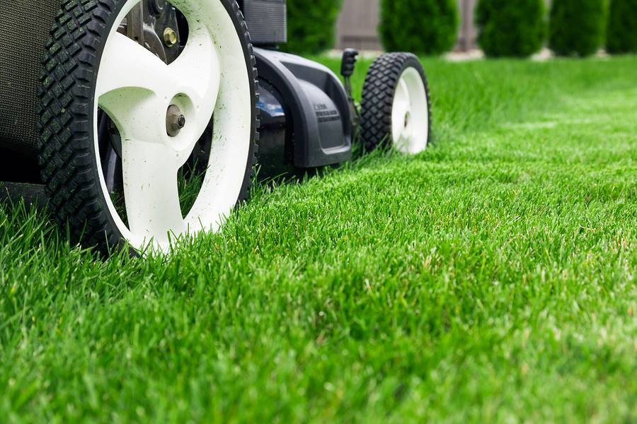 Lawn Maintenance Yorkville IL